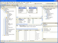 VistaDB 3 screenshot